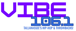 Vibe Logo No Glitch copy